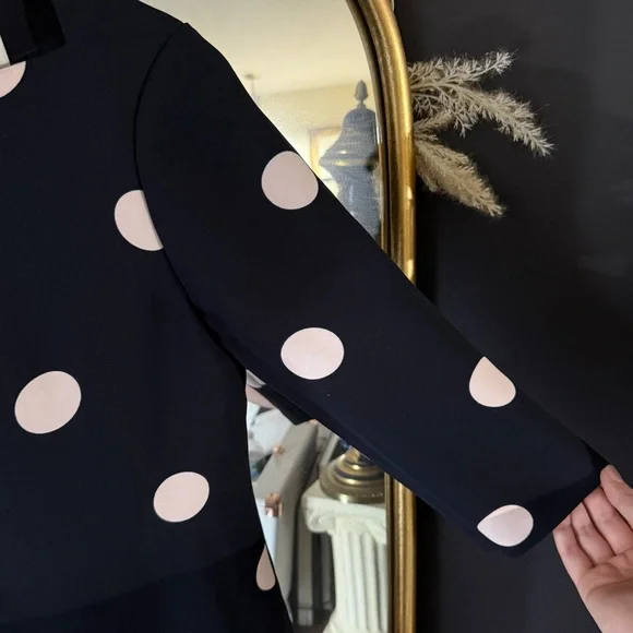 Kate Spade Navy & Light Pink Polka Dot Mini Dress with Boat Neck - Picture 5 of 11